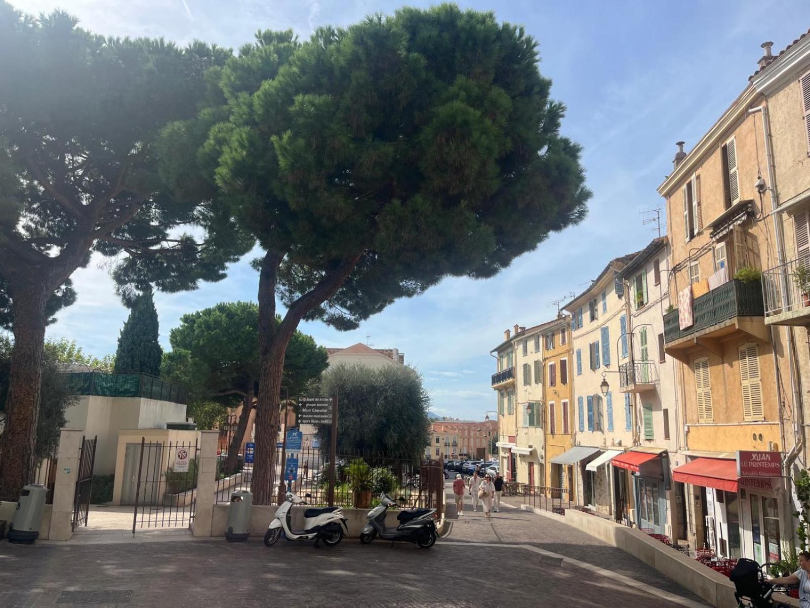 Living Appartement Cannes